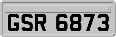GSR6873