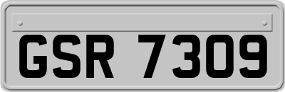 GSR7309