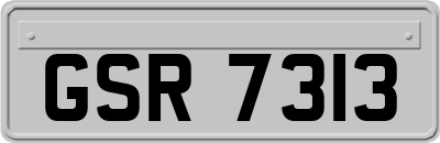 GSR7313