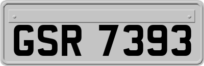 GSR7393