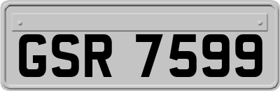 GSR7599