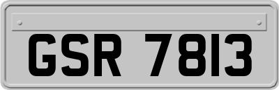 GSR7813
