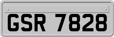 GSR7828
