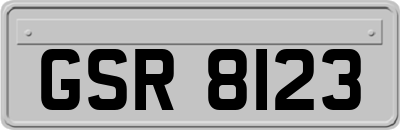 GSR8123