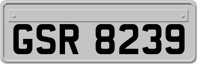 GSR8239