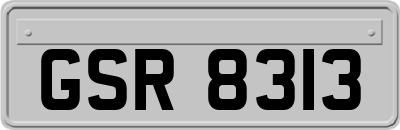 GSR8313