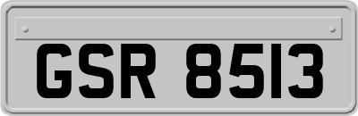 GSR8513