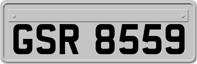 GSR8559
