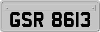 GSR8613