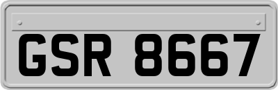 GSR8667