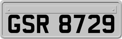 GSR8729