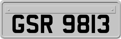 GSR9813