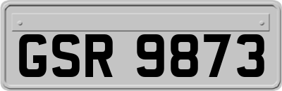 GSR9873