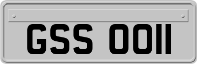 GSS0011