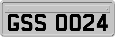 GSS0024