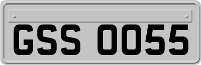 GSS0055