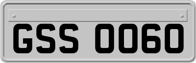 GSS0060