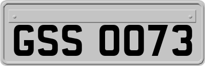 GSS0073