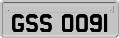 GSS0091
