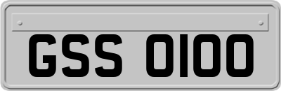 GSS0100