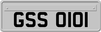 GSS0101