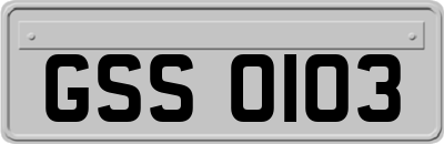 GSS0103