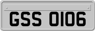 GSS0106