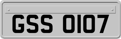 GSS0107
