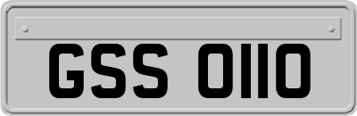 GSS0110