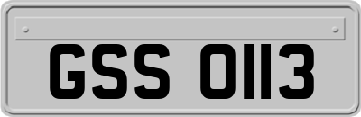 GSS0113
