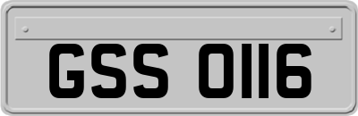 GSS0116