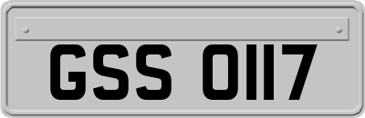 GSS0117