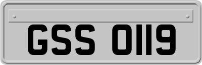 GSS0119