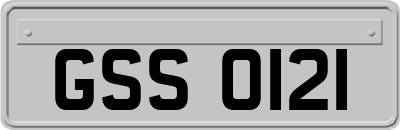 GSS0121
