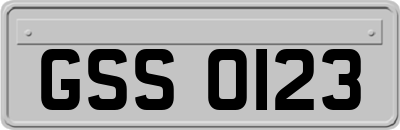 GSS0123