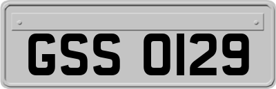 GSS0129