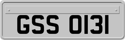 GSS0131