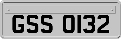 GSS0132