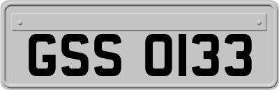 GSS0133