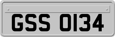 GSS0134