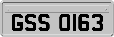 GSS0163