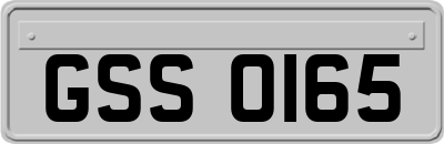 GSS0165