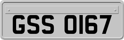 GSS0167