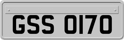 GSS0170