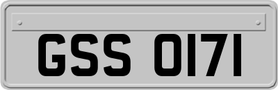 GSS0171
