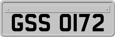 GSS0172