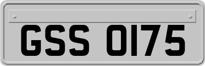 GSS0175