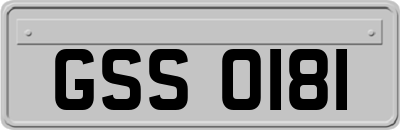 GSS0181