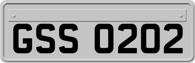 GSS0202
