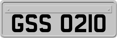 GSS0210